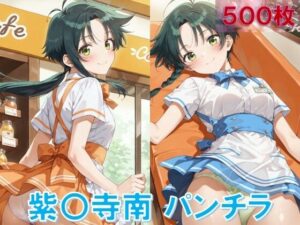 紫〇寺南のパンチラ〜ウェイトレス編〜<br><span style="font-size: 0.8em; color: #666;">D_627100</span>