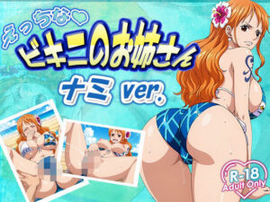 えっちなビキニお姉さん ナミ