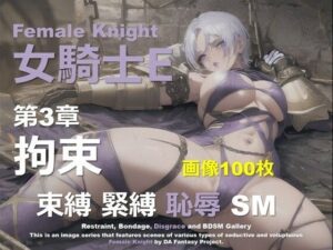 女騎士 E 第3章 〜拘束〜｜女騎士 E<br><span style="font-size: 0.8em; color: #666;">D_653425</span>