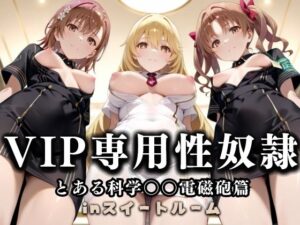 スイートルームVIP専用性処理係──快楽提供ルームサービス。  とある科学の超電磁砲編<br><span style="font-size: 0.8em; color: #666;">D_686595</span>