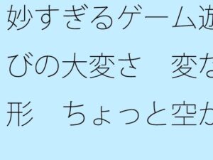 妙すぎるゲーム遊びの大変さ 変な形 ちょっと空から俯瞰して見ると違うのか・・