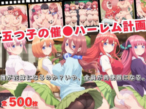 五つ子の催●ハーレム計画！誰が花嫁になるのか？いや、全員が肉便器になる。<br><span style="font-size: 0.8em; color: #666;">D_688379</span>