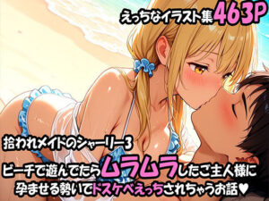 拾われメイドのシャーリー 3 ビーチで遊んでたらムラムラしたご主人様に孕ませる勢いでドスケベえっちされちゃうお話<br><span style="font-size: 0.8em; color: #666;">D_689171</span>