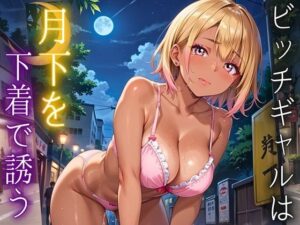ビッチギャルは月下を下着で誘う・260枚<br><span style="font-size: 0.8em; color: #666;">D_695123</span>