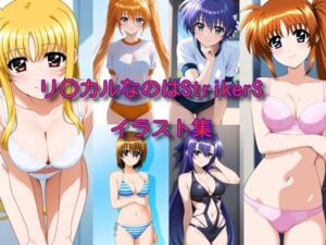 リ〇カルなのはStrikerS イラスト集<br><span style="font-size: 0.8em; color: #666;">D_697517</span>