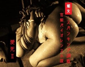媚女・スパンキング調教<br><span style="font-size: 0.8em; color: #666;">D_699943</span>