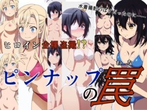 ピンナップの罠