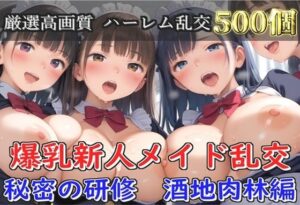 【新作価格】【豪華特典あり】爆乳新人メイド乱交 集団孕ませ酒地肉林 新人研修編【500個】