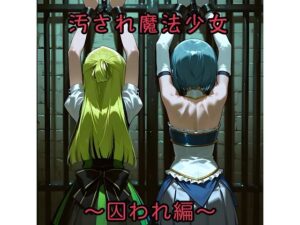 汚され魔法少女〜囚われ編〜<br><span style="font-size: 0.8em; color: #666;">D_706493</span>