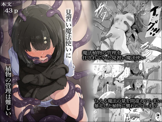 見習い魔法使いに植物の管理は難しい<br><span style="font-size: 0.8em; color: #666;">D_708381</span>