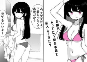 お風呂入ってたら妹が水着で乱入してきた4｜お風呂入ってたら妹が水着で乱入してきた<br><span style="font-size: 0.8em; color: #666;">D_712044</span>