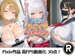 Pixivうごイラ詰め合わせ1<br><span style="font-size: 0.8em; color: #666;">D_713107</span>