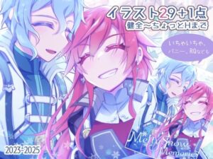 MeltySnowMemories