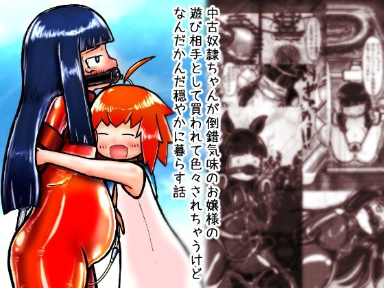 中古奴●ちゃんが倒錯気味のお嬢様の遊び相手として買われて色々されちゃうけどなんだかんだ穏やかに暮らす話<br><span style="font-size: 0.8em; color: #666;">D_716243</span>