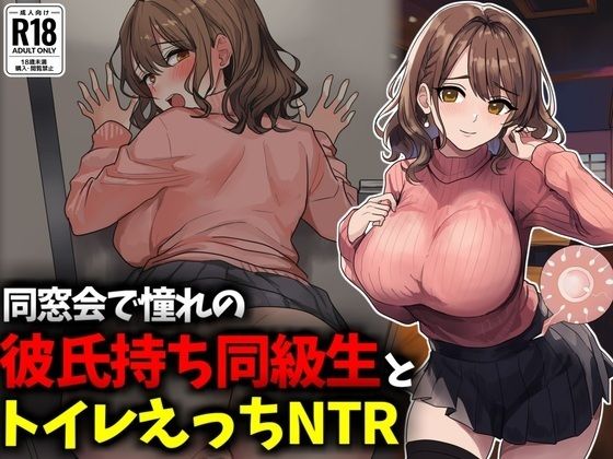 同窓会で憧れのマドンナ的同級生とトイレえっちNTR<br><span style="font-size: 0.8em; color: #666;">D_716940</span>