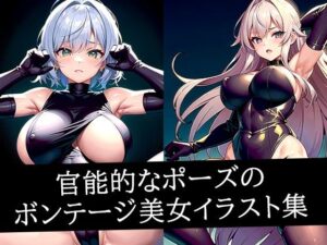 官能的なポーズのボンテージ美女イラスト集