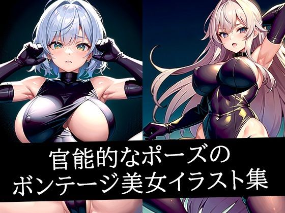 官能的なポーズのボンテージ美女イラスト集<br><span style="font-size: 0.8em; color: #666;">D_516349</span>