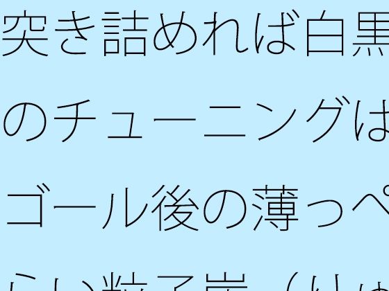 突き詰めれば白黒のチューニングはゴール後の薄っぺらい粒子崖（りゅうしがけ）の上でも続く<br><span style="font-size: 0.8em; color: #666;">D_686011</span>