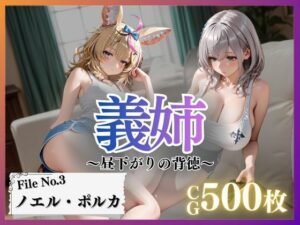 義姉〜昼下がりの背徳〜Vol.3<br><span style="font-size: 0.8em; color: #666;">D_710160</span>