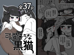 可愛そうな黒猫