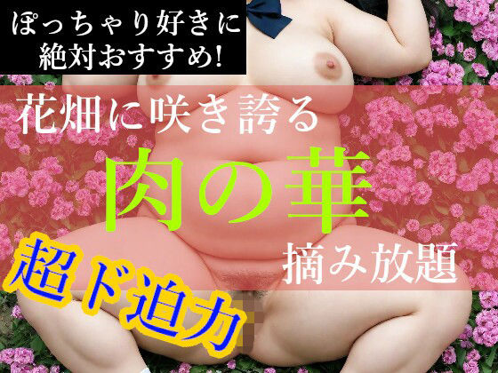 ぽっちゃり娘【肉の華】<br><span style="font-size: 0.8em; color: #666;">D_719267</span>