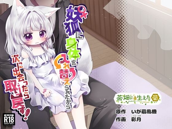 ♀妖狐に身体を入れ替えられたから次に出会ったら取り戻す！<br><span style="font-size: 0.8em; color: #666;">D_722017</span>