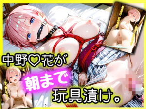「えっ、Hなしの約束でしょ…？」パパ活デートに来た女優・中野一〇が、拘束されて朝まで玩具漬け。